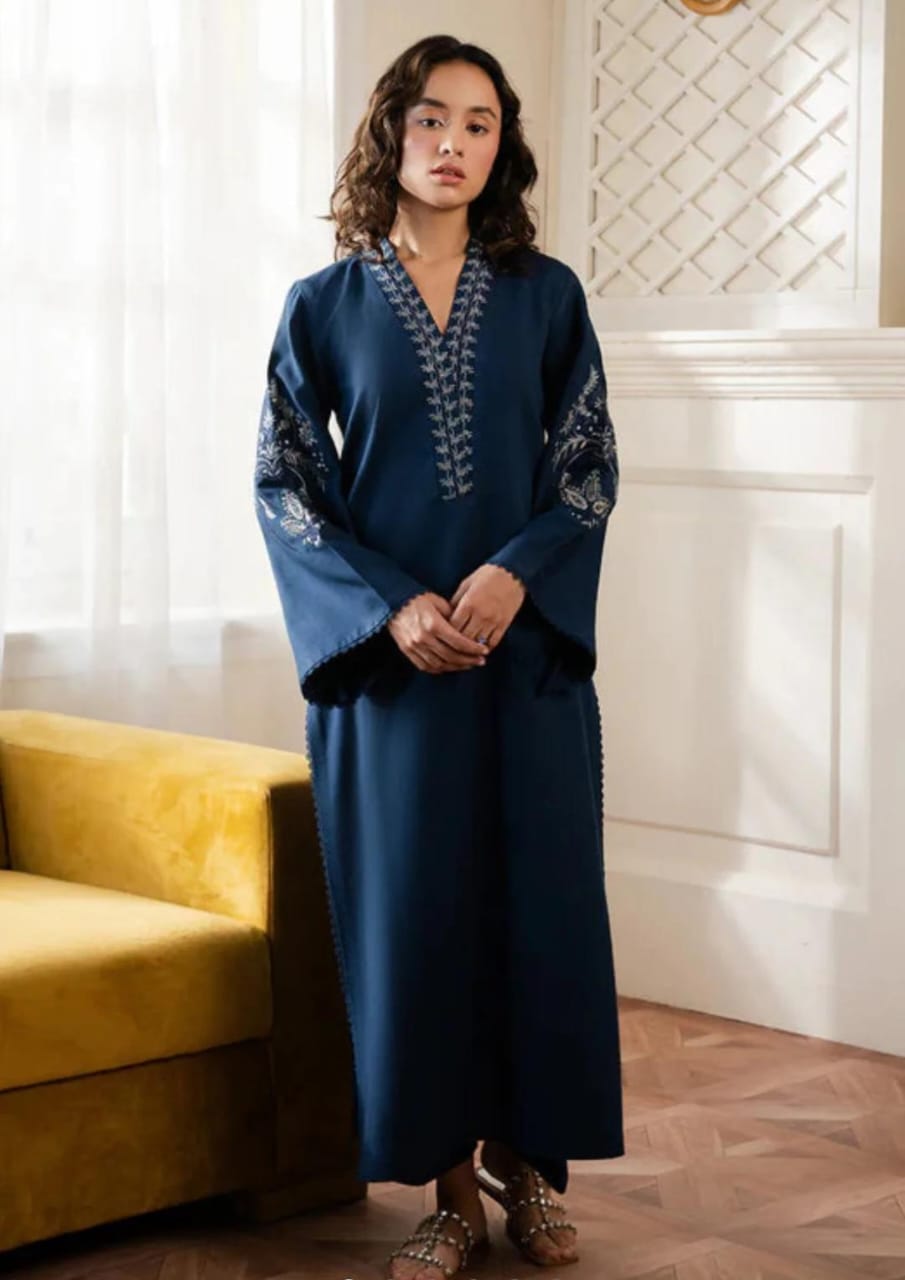 Blue Karandi embroidered 2-piece suit front view – stitched winter outfit with detailed neckline work