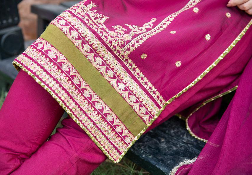 Close-up of a pink saree with intricate gold and green border