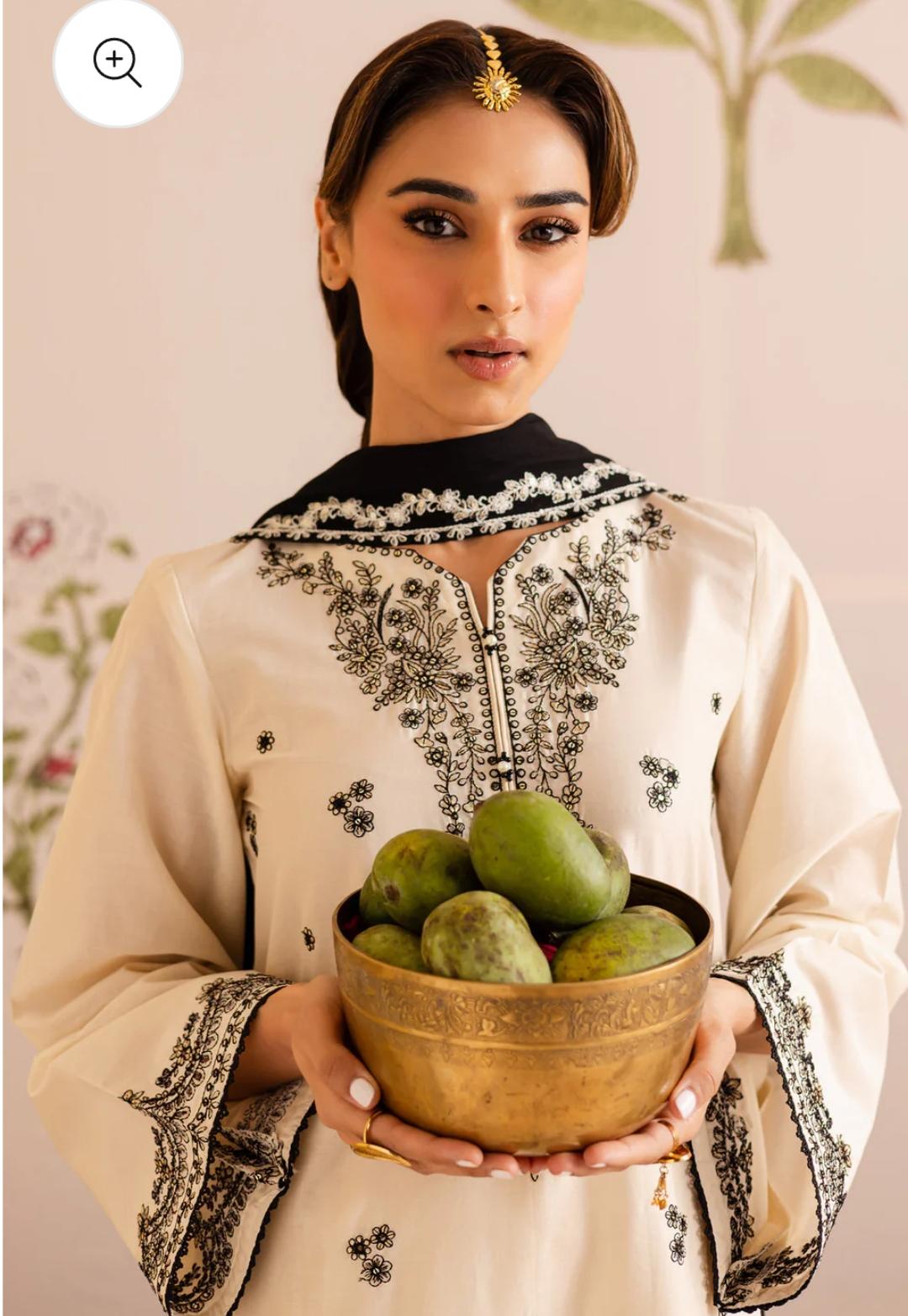 3 piece festive embroidered dress