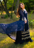Long blue chiffon shirt with sequence embroidery eastern party outfit