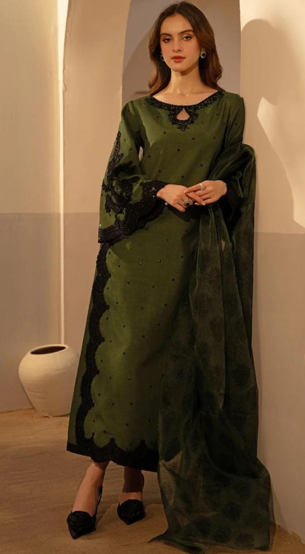 Woman wearing a green saree with black border indoors